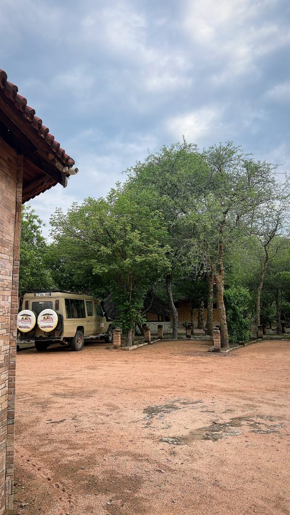 Land Cruiser game drive from Oxpecker Camp into Ruaha