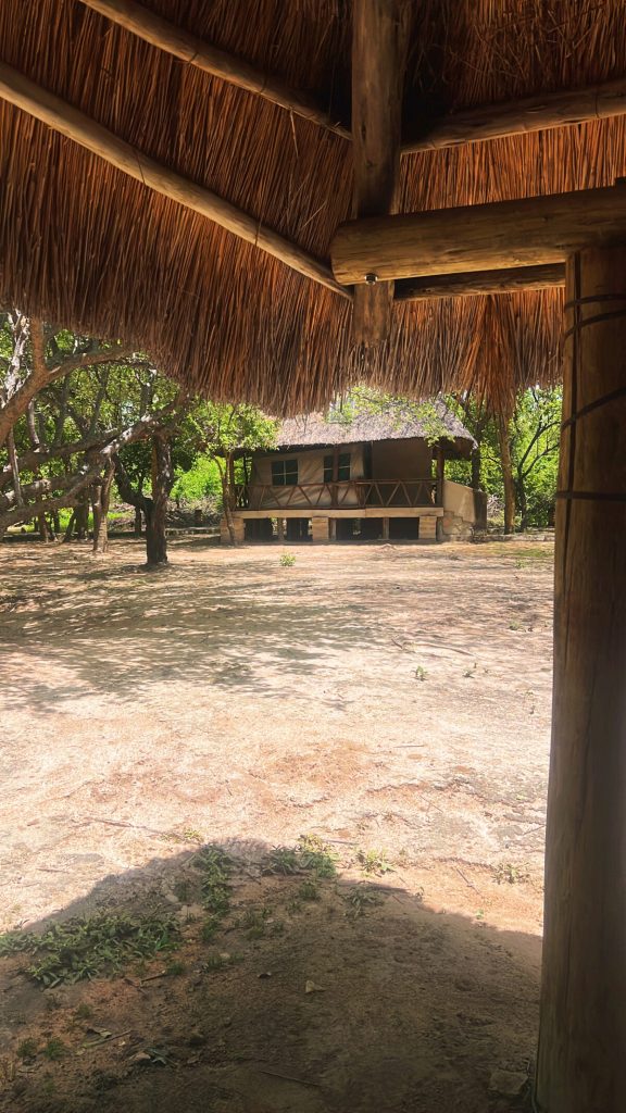 Evening porch view at Oxpecker Camp Ruaha